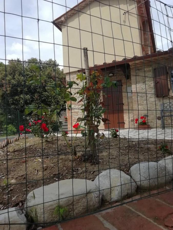 La Casetta Della Letizia Colle  المظهر الخارجي الصورة